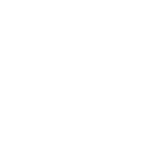 BadFly Interactive