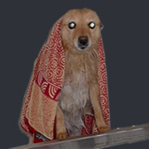 Spytihněv