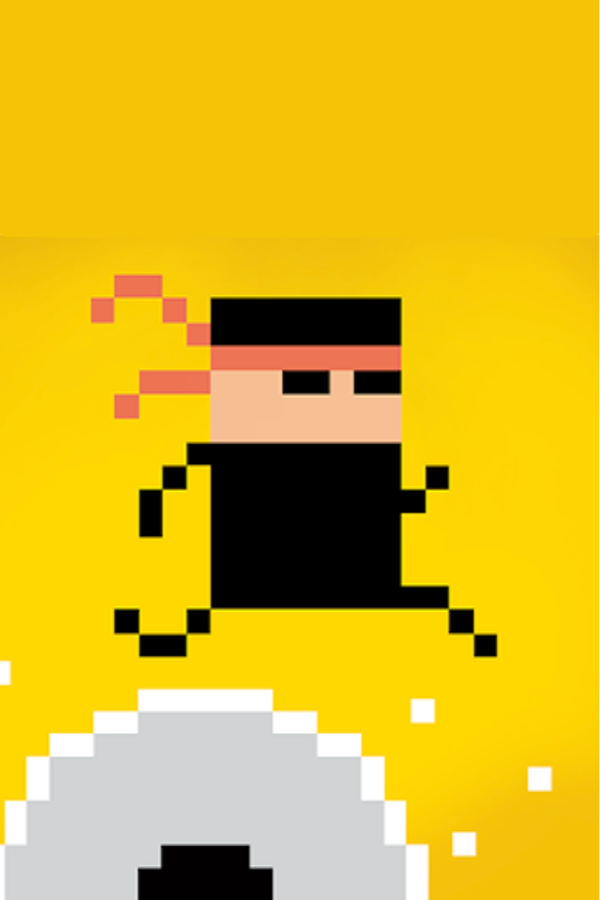 Ninja Madness
