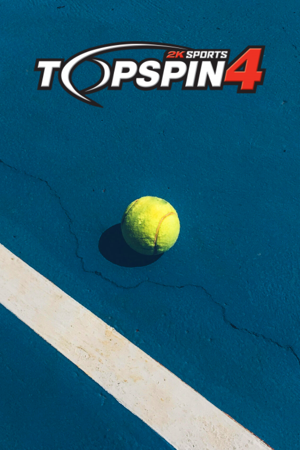 Top Spin 4