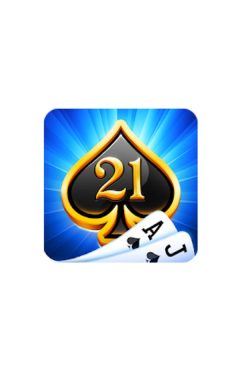 Blackjack 21 - casino card game